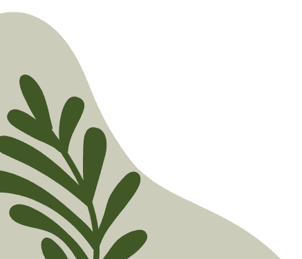 Nguyễn Thúy Hằng