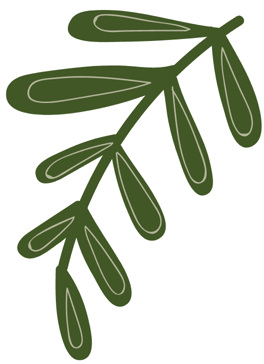 Nguyễn Thúy Hằng